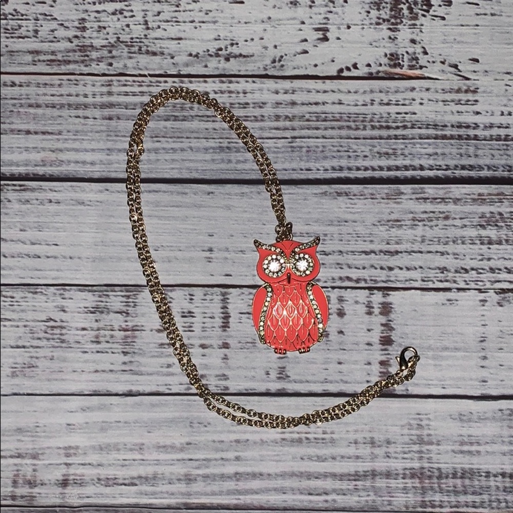 Long Chained Owl Necklace